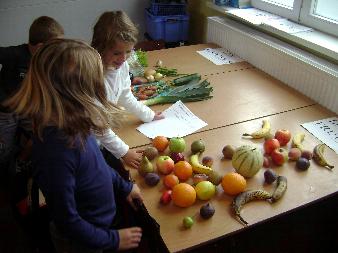Le projet "Fruit et Légume" cycle 5-8 du Spinois